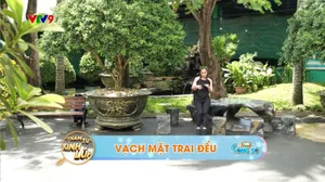 Tám Công Sở_Thám Tử Kính Lúp (tập 315)