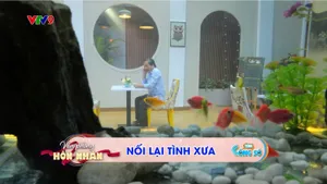 Tám Công Sở_Văn Phòng Hôn Nhân (tập 93)