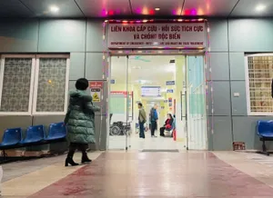 Hai mẹ con ở Hải Phòng tử vong sau bữa ăn trưa