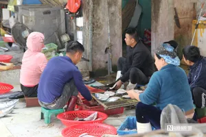 Làng cá nướng xứ Nghệ đỏ lửa suốt ngày đêm phục vụ Tết Nguyên đán