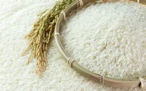 Khám phá những công dụng bất ngờ của gạo trong đời sống
