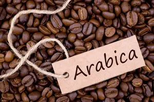 Giá cà phê hôm nay 6/2: Robusta tăng mạnh, Arabica thiết lập mốc cao nhất lịch ử