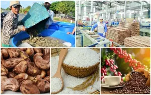 Xuất khẩu nông lâm thủy sản tăng mạnh, châu Á là thị trường lớn nhất