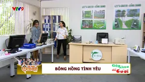 Gặp Nhau Để Cười - Mùa 3 (tập 252)