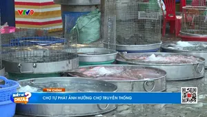 Thời sự: Biết gì chưa (26/3/2025)