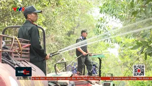 Tây Ninh ứng phó nguy cơ cháy rừng cấp cực kỳ nguy hiểm