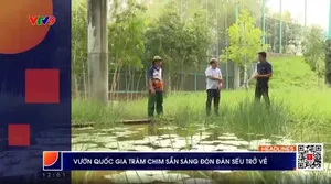 Thời sự: Phương Nam hôm nay (18/04/2025)