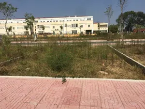 Thị trường đất nền vùng ven hạ nhiệt sau thời gian tăng nóng