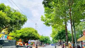 Bộ Công an đề nghị Đắk Lắk cung cấp thêm thông tin về các dự án cây xanh