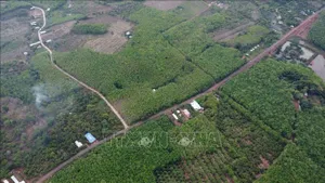 Phương án đầu tư tuyến đường kết nối tỉnh Bình Phước – tỉnh Đồng Nai qua cầu Mã Đà