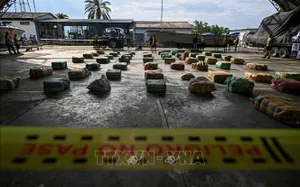 Mexico triệt phá hàng loạt phòng thí nghiệm ma túy - Ảnh 2.