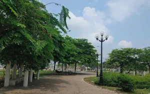 Bộ Công an đề nghị Long An cung cấp hồ sơ các dự án liên quan Công ty Cây xanh Công Minh