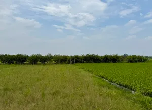 Hà Nội chấp thuận 148 khu đất thực hiện dự án thí điểm bất động sản