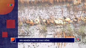 Thời sự: Phương Nam hôm nay (15/5/2025)