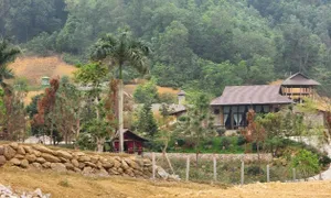 Hà Nội: Xử lý nghiêm vụ khu nghỉ dưỡng lấn chiếm đất rừng ở Thạch Thất