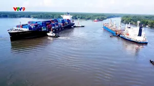Triển khai phương án tách 2 tàu va chạm tại Cần Giờ