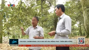 Thải độc Cadimi bằng cách nào để phát triển bền vững sầu riêng