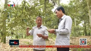 Tìm nguồn gốc các chất cấm trong phân bón