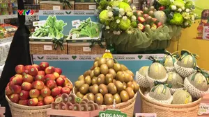 Để người tiêu dùng tiếp cận thực phẩm hữu cơ với chi phí ưu đãi