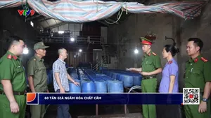 60 tấn giá đỗ ngâm hóa chất cấm