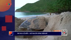 Thời sự: Phương Nam hôm nay (23/5/2025)