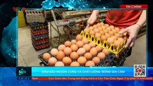 Thời sự: Toàn cảnh 24h (22/5/2025)