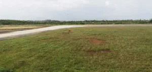 Bình Định: Bổ sung hơn 1.700 tỷ đồng nâng cấp, mở rộng sân bay Phù Cát