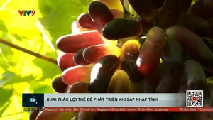 Khai thác cơ hội phát triển khi sáp nhập tỉnh