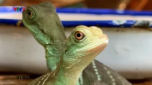 Thảo Cầm Viên ấp nở thành công bảo tồn loài nguy cấp