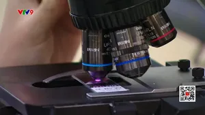 Thêm hy vọng cho bệnh nhân ung thư giai đoạn cuối