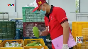 Nỗ lực đưa xuất khẩu rau quả trở lại đường đua