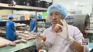 Lựa chọn sản phẩm trứng gia cầm chất lượng
