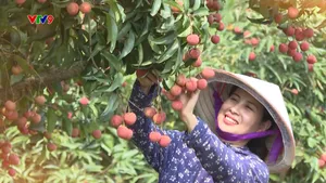 Liên kết mở rộng thị trường tiêu thụ đặc sản địa phương