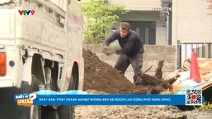 Phạt doanh nghiệp không bảo vệ người lao động khỏi nắng nóng