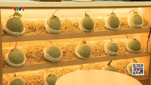 Xu hướng sử dụng các loại nước trái cây mùa hè