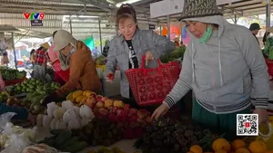 Sống xanh từ chợ quê