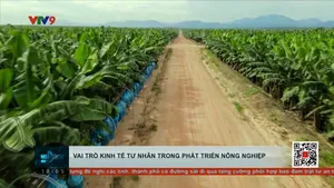 Vai trò kinh tế tư nhân trong phát triển nông nghiệp