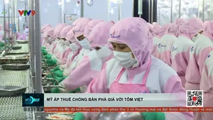 Thời sự: Toàn cảnh 24h (08/6/2025)