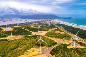Bình Định: Tìm nhà đầu tư cho dự án Nhà máy điện gió gần 6.000 tỷ đồng