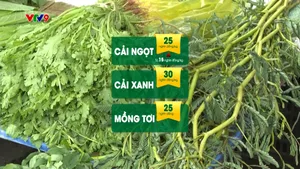 Rau tăng giá mạnh do mưa nhiều