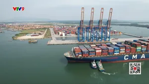 Số hóa quản lý cảng biển