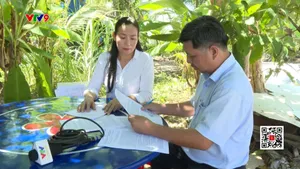 Lật tẩy chiêu trò lừa bán lúa giống giả