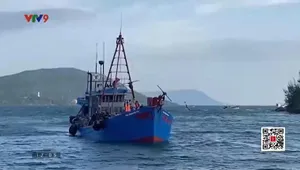 Quyết liệt ngăn chặn buôn lậu từ biên giới