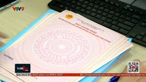 Thời sự: Toàn cảnh 24h (20/6/2025)