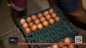 Truy tìm nguồn gốc thông tin trứng gà giả