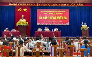 Quảng Nam thông qua quy hoạch khu phi thuế quan hơn 744 ha