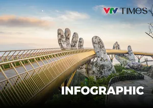 Infographic: Thông tin về xây dựng Khu thương mại tự do Đà Nẵng
