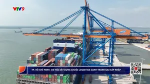 TP. Hồ Chí Minh: Xây dựng chuỗi cung ứng logistics sau sáp nhập