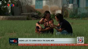 Thời sự: Toàn cảnh 24h (27/6/2025)