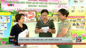 TP. Hồ Chí Minh hoàn thành tuyển sinh đầu cấp